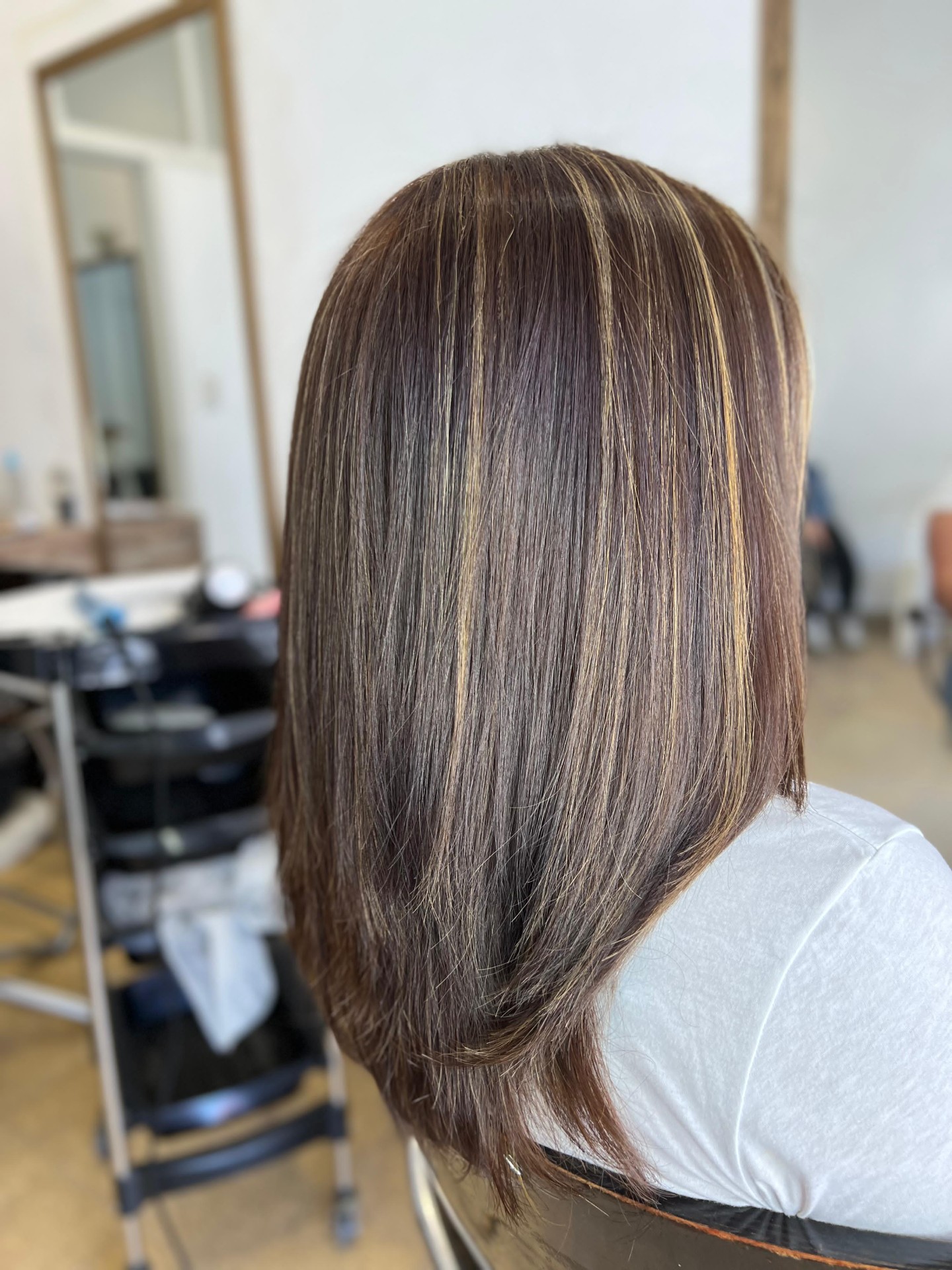 Mechas 3
